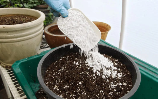 Perlite