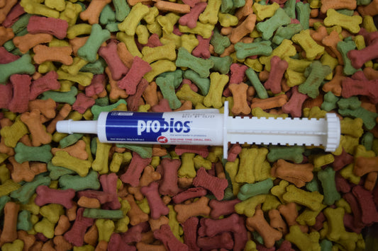 Probios Paste