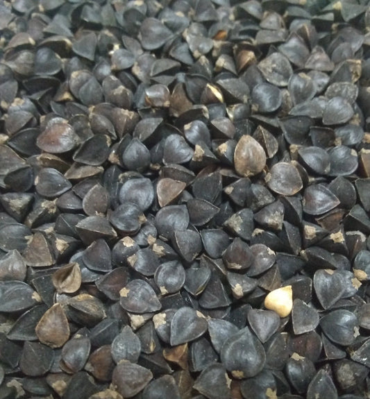 Buckwheat