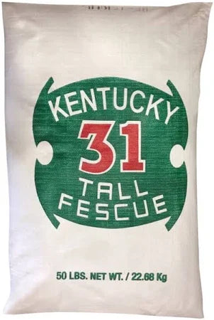Kentucky 31 Tall Fescue