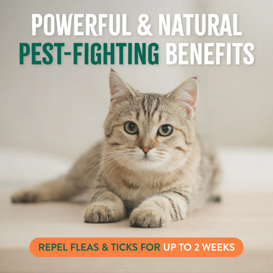 Tropiclean Natural Flea + Tick - Cat + Home spray